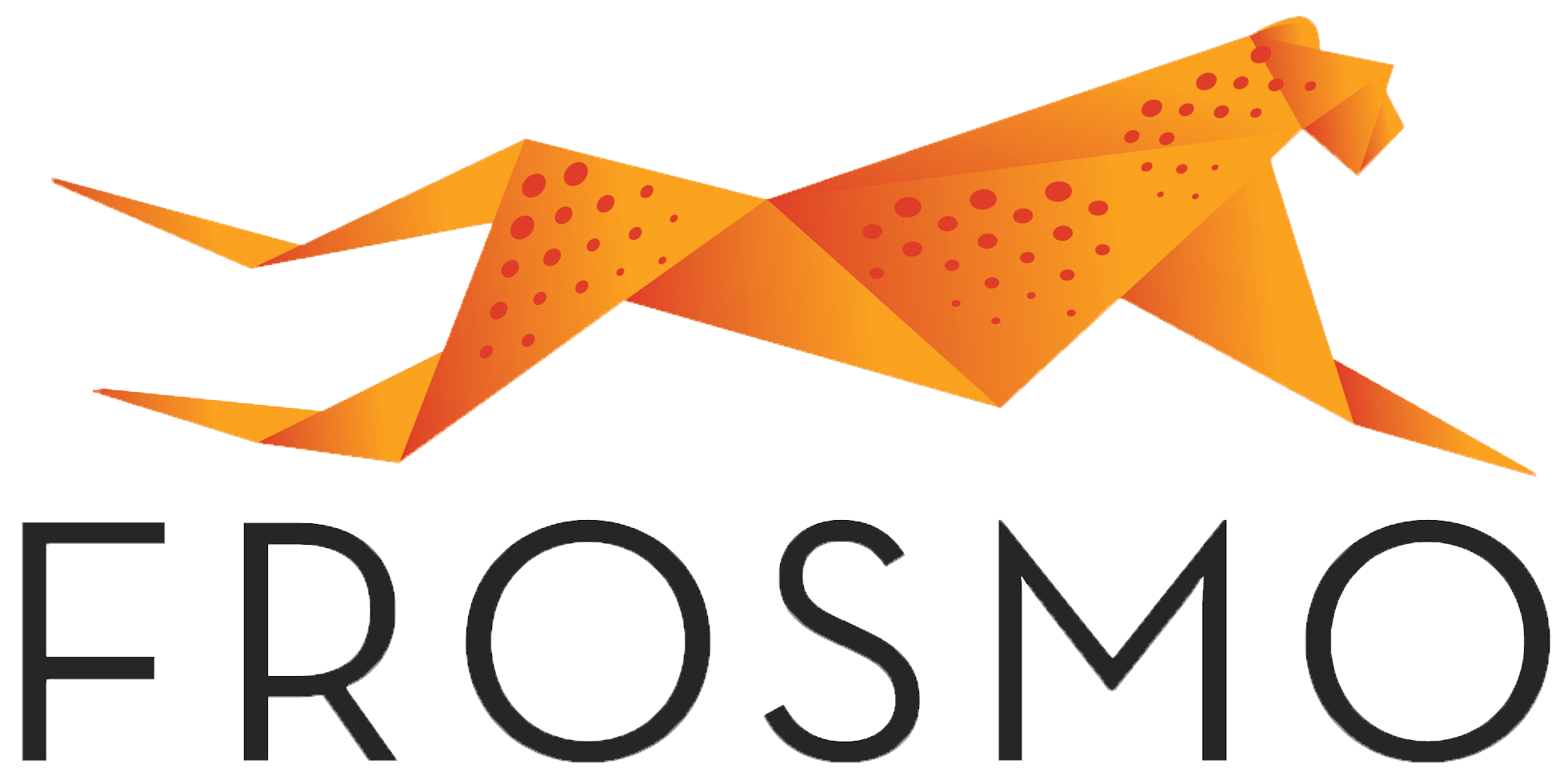 Frosmo Ltd.