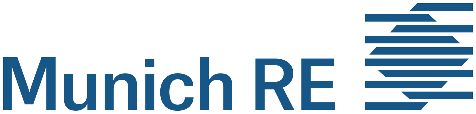 Munich Re Service