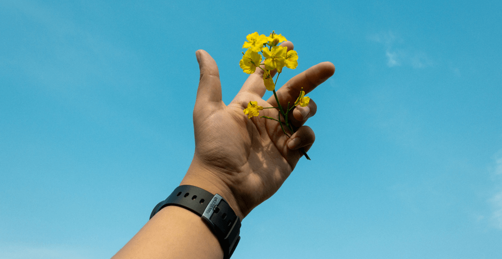 Detail of a hand holding a flower